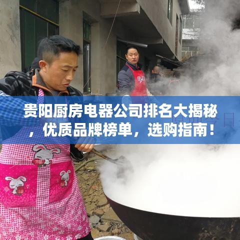 贵阳厨房电器公司排名大揭秘,优质品牌榜单,选购指南!