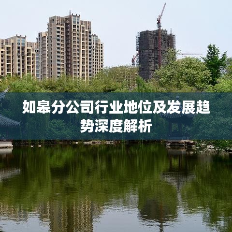 如皋分公司行业地位及发展趋势深度解析