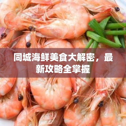 同城海鲜美食大解密，最新攻略全掌握