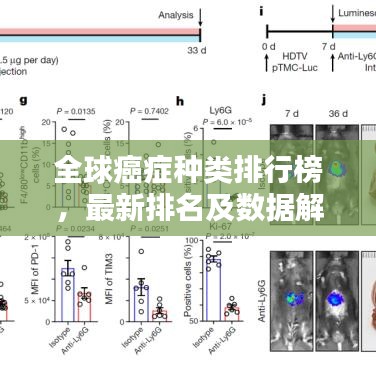 全球癌症种类排行榜,最新排名及数据解析