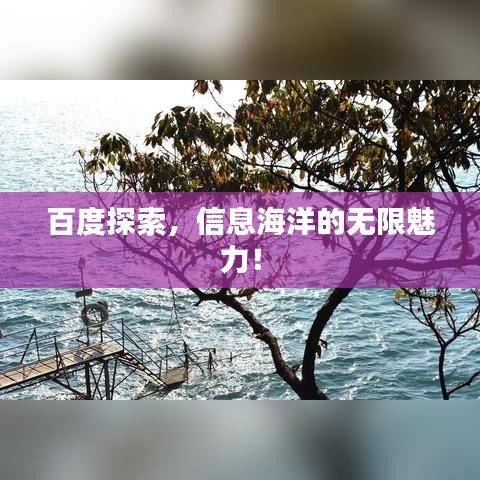 百度探索,信息海洋的无限魅力!