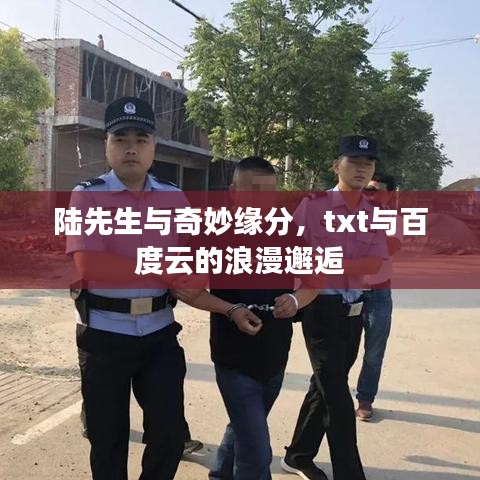 陆先生与奇妙缘分,txt与百度云的浪漫邂逅