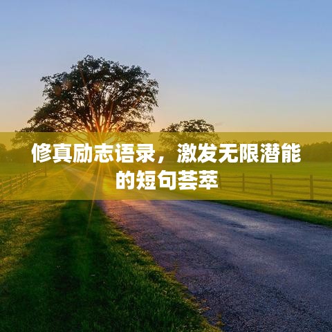 修真励志语录,激发无限潜能的短句荟萃