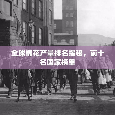 全球棉花产量排名揭秘,前十名国家榜单