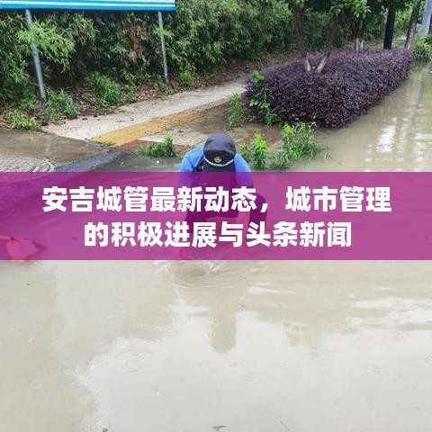 安吉城管最新动态,城市管理的积极进展与头条新闻