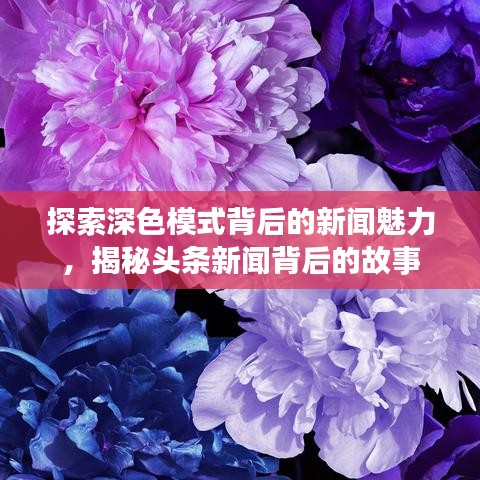 探索深色模式背后的新闻魅力,揭秘头条新闻背后的故事