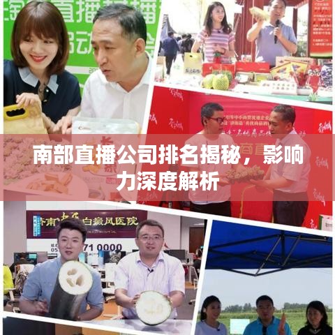 南部直播公司排名揭秘,影响力深度解析