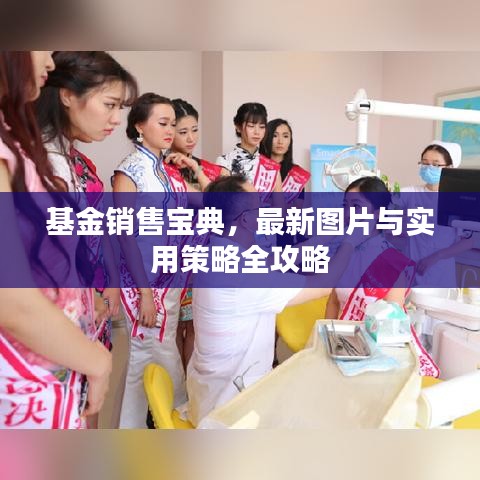 基金销售宝典,最新图片与实用策略全攻略