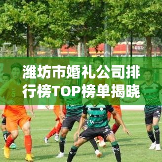 潍坊市婚礼公司排行榜TOP榜单揭晓!专业策划、优质服务,打造梦幻婚礼的首选!