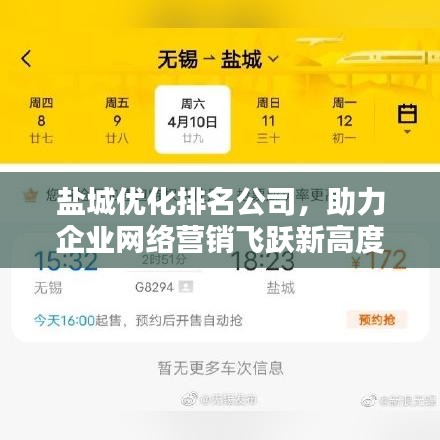 盐城优化排名公司,助力企业网络营销飞跃新高度