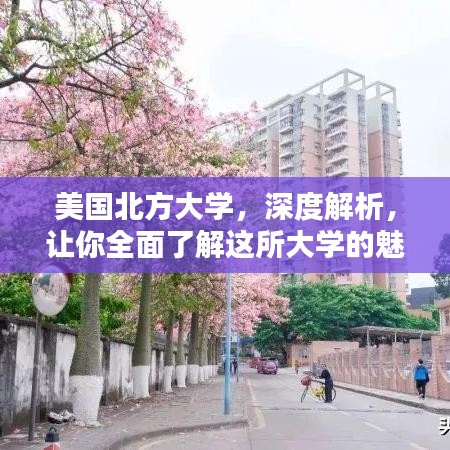 美国北方大学,深度解析,让你全面了解这所大学的魅力!