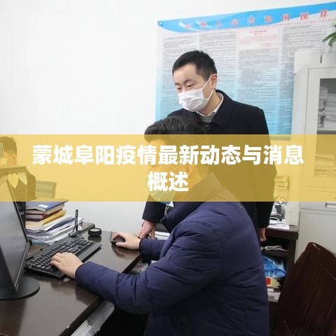 蒙城阜阳疫情最新动态与消息概述
