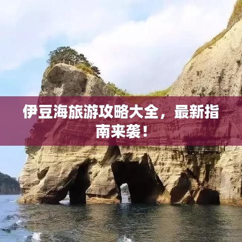 伊豆海旅游攻略大全,最新指南来袭!