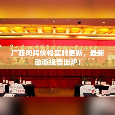 广西肉鸡价格实时更新,最新动态报告出炉!