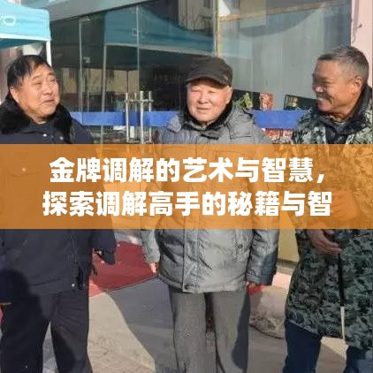 金牌调解的艺术与智慧,探索调解高手的秘籍与智慧