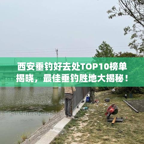 西安垂钓好去处TOP10榜单揭晓,最佳垂钓胜地大揭秘!