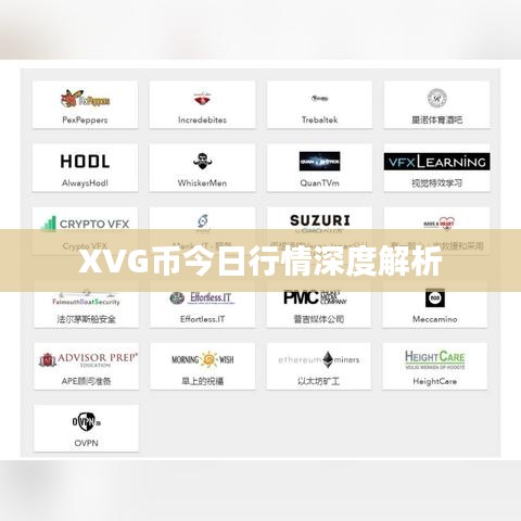 XVG币今日行情深度解析