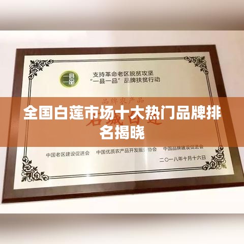 全国白莲市场十大热门品牌排名揭晓