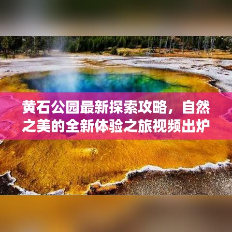 黄石公园最新探索攻略,自然之美的全新体验之旅视频出炉!