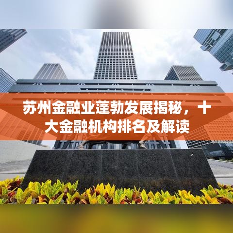 苏州金融业蓬勃发展揭秘,十大金融机构排名及解读