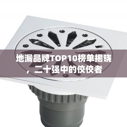 地漏品牌TOP10榜单揭晓,二十强中的佼佼者