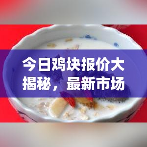 今日鸡块报价大揭秘，最新市场走势与价格动态一网打尽