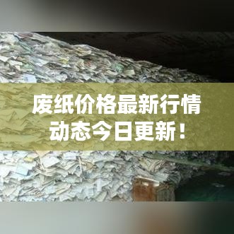 废纸价格最新行情动态今日更新!