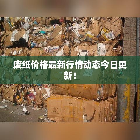 废纸价格最新行情动态今日更新!