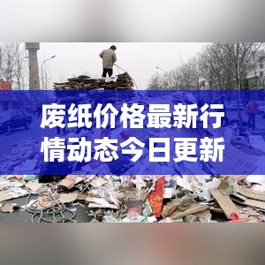 废纸价格最新行情动态今日更新!