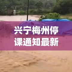 兴宁梅州停课通知最新消息,家长和学生必看!