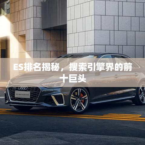 ES排名揭秘,搜索引擎界的前十巨头