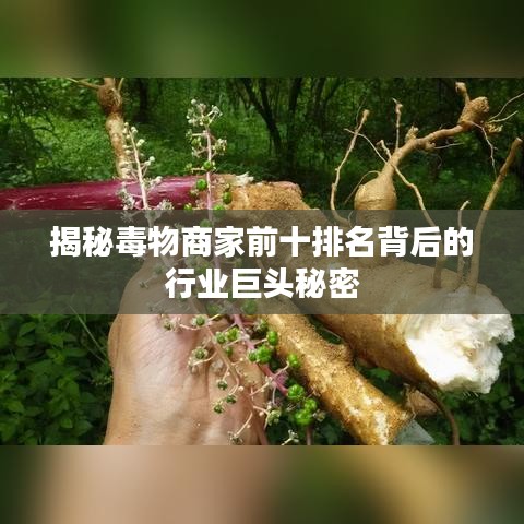 揭秘毒物商家前十排名背后的行业巨头秘密