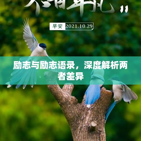 励志与励志语录,深度解析两者差异