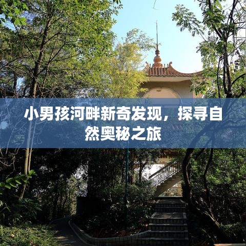 小男孩河畔新奇发现,探寻自然奥秘之旅