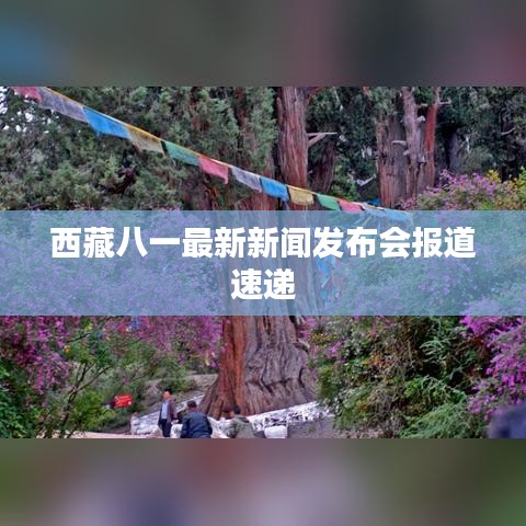 西藏八一最新新闻发布会报道速递