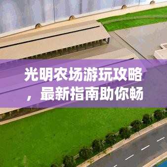 就棍打腿 第5页