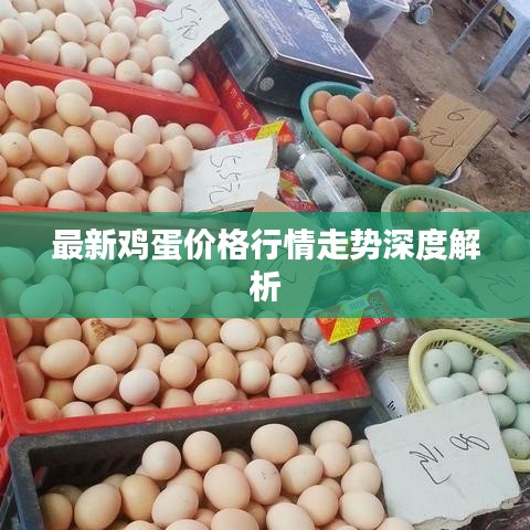 最新鸡蛋价格行情走势深度解析
