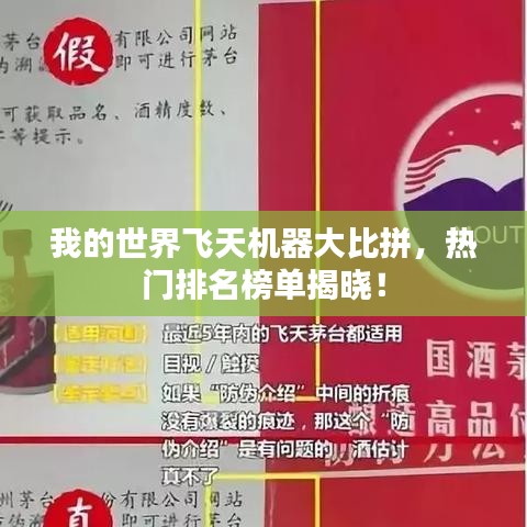 我的世界飞天机器大比拼,热门排名榜单揭晓!