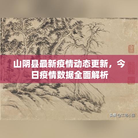 山阴县最新疫情动态更新,今日疫情数据全面解析