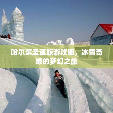 哈尔滨圣诞旅游攻略,冰雪奇缘的梦幻之旅