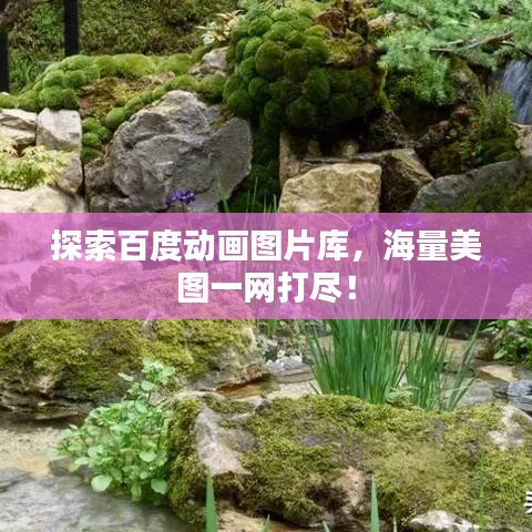 探索百度动画图片库，海量美图一网打尽！