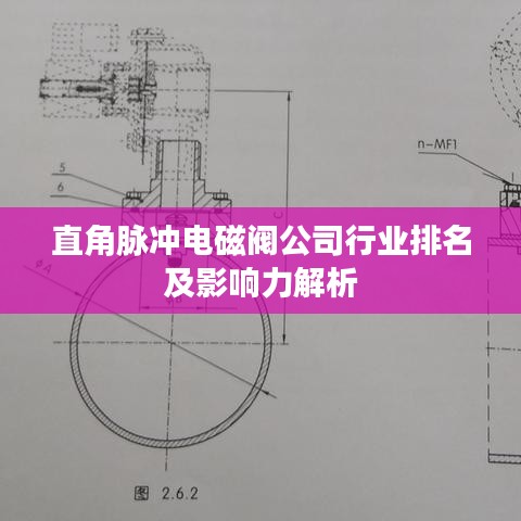 直角脉冲电磁阀公司行业排名及影响力解析