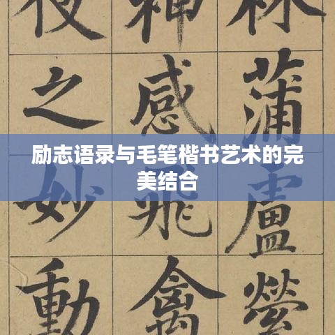 励志语录与毛笔楷书艺术的完美结合