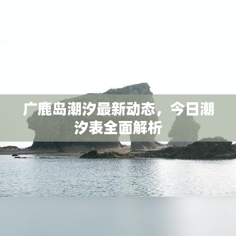 广鹿岛潮汐最新动态,今日潮汐表全面解析