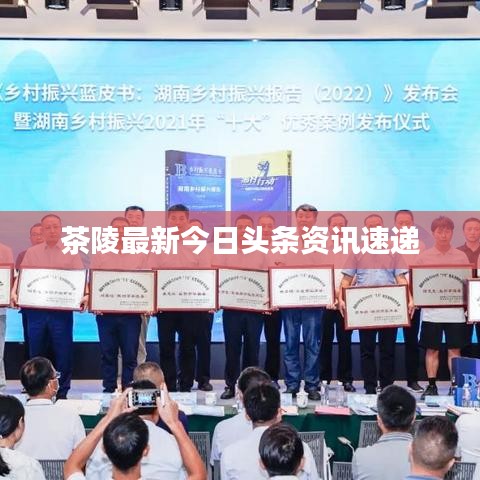 茶陵最新今日头条资讯速递