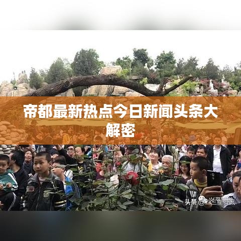 帝都最新热点今日新闻头条大解密