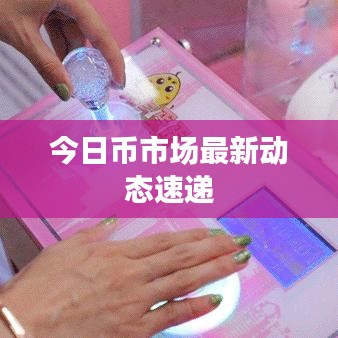 今日币市场最新动态速递