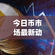 今日币市场最新动态速递