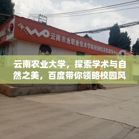 云南农业大学,探索学术与自然之美,百度带你领略校园风采!