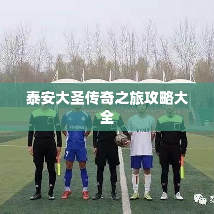 泰安大圣传奇之旅攻略大全